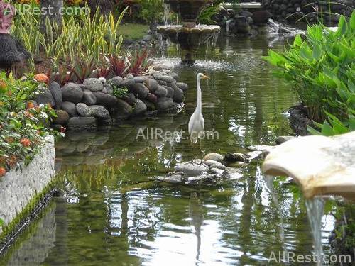 Melia Bali - The Garden Villas 47